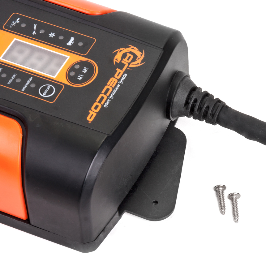 Цифровое зарядное устройство "Агрессор" AGR/SBC-250 Brick