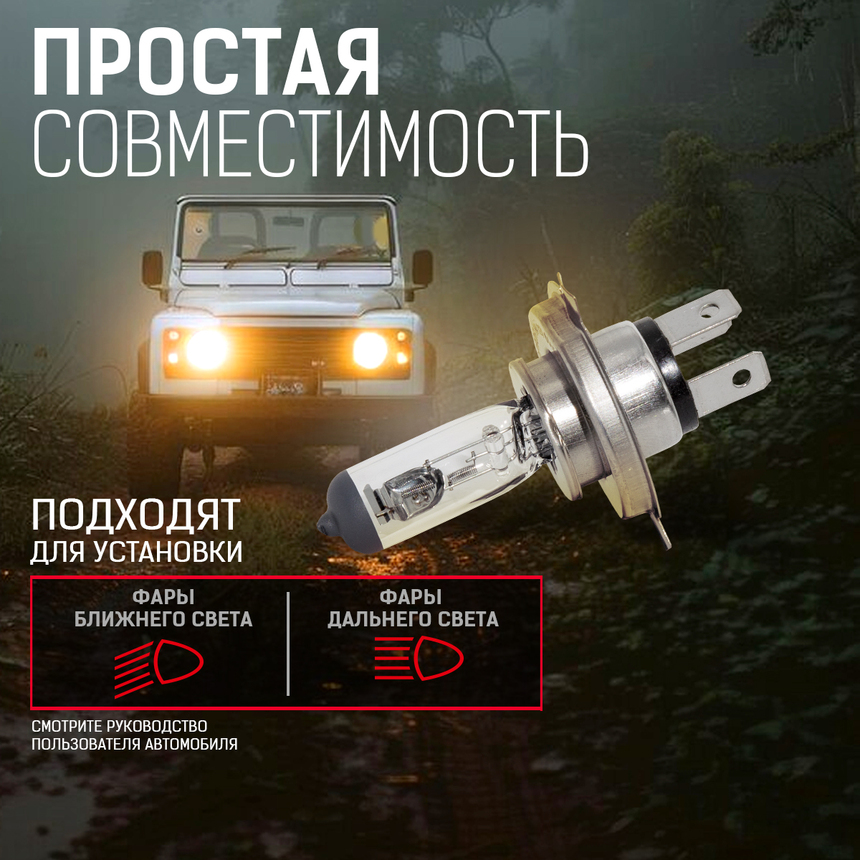 Лампа галогенная STD-H4