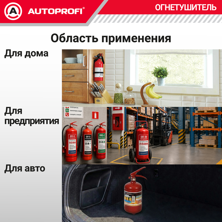 Огнетушитель порошковый закачной ОП-2(з)-ABCE-01